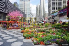 定了！深圳2023花市会场安排汇总来啦！有你家附近的吗？